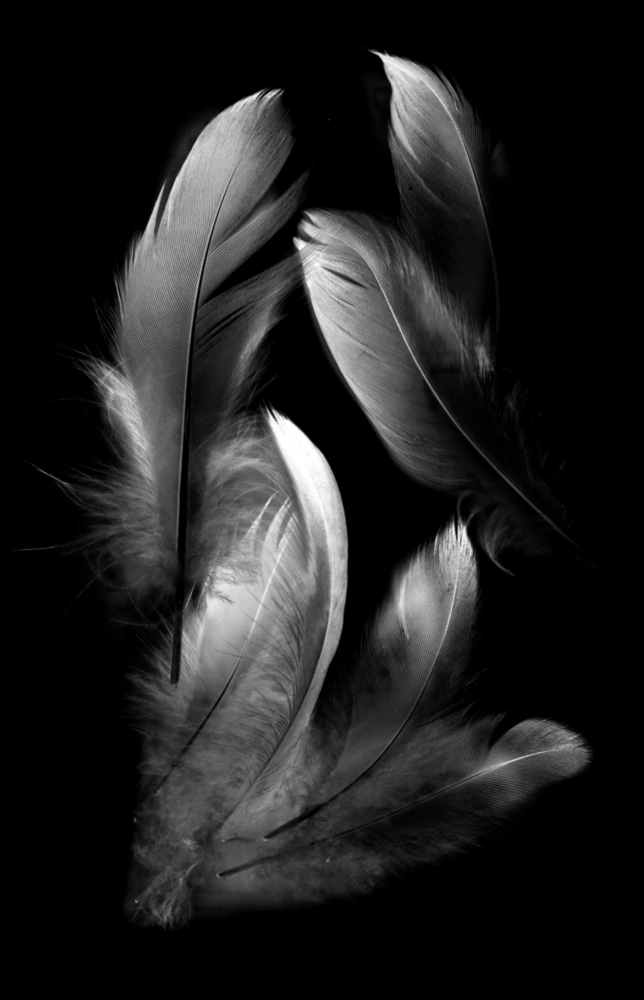 La plume Impression sur verre