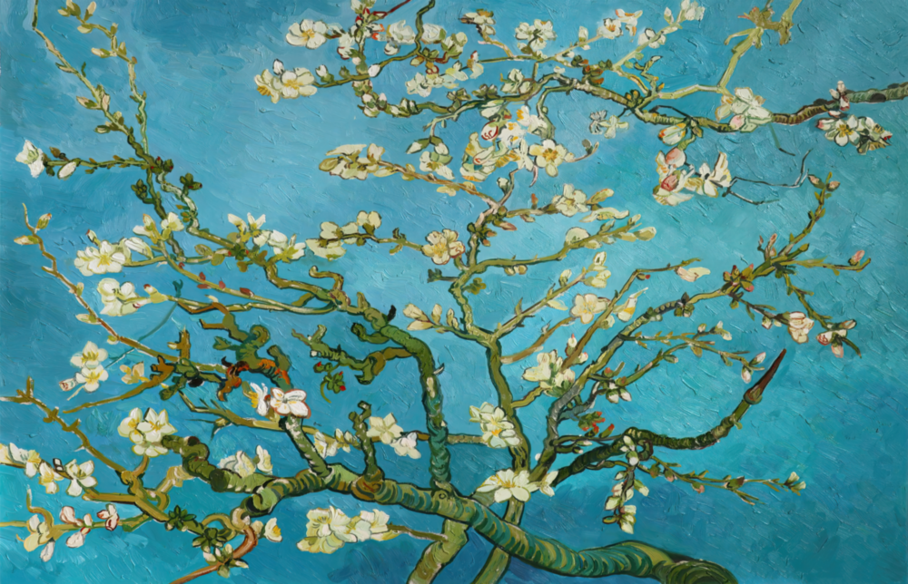 Arte della parete di vetro Fiori bianchi