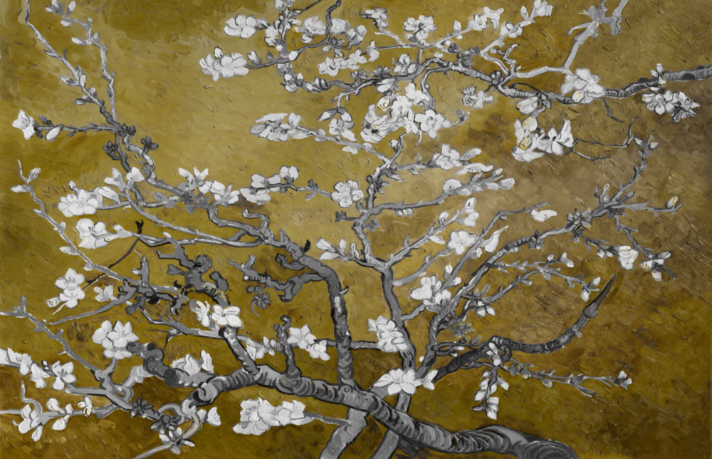 Fleurs blanches Impression sur verre