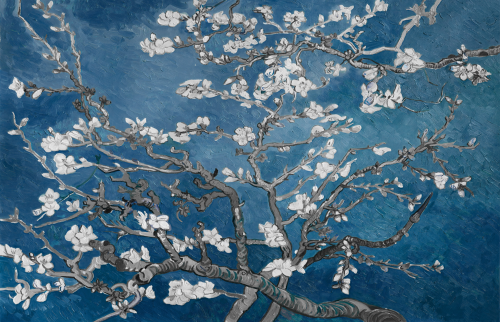 Fleurs blanches Impression sur verre