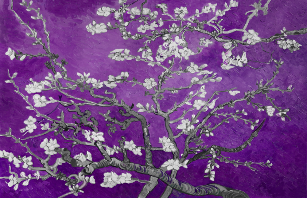 Arte della parete di vetro Fiori bianchi