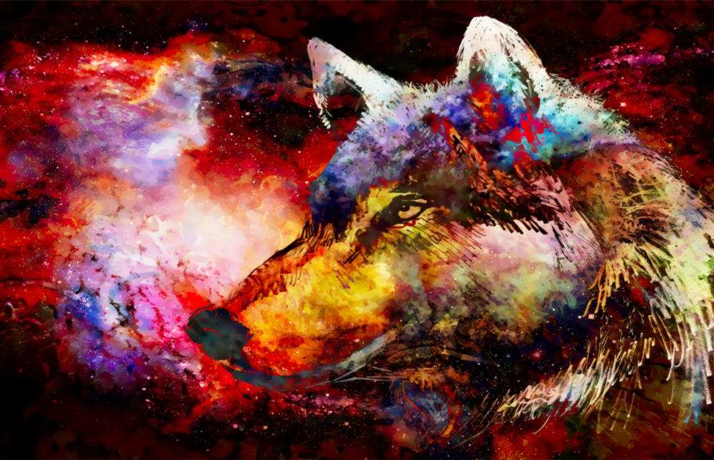 Farbiger Wolf Glasbild