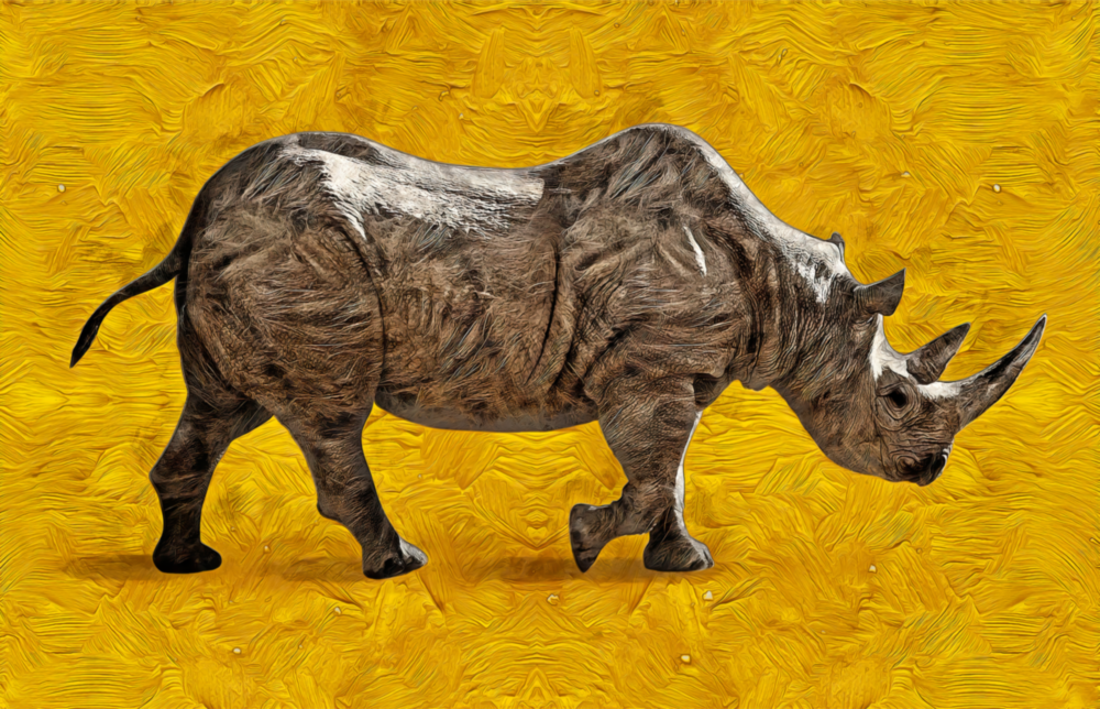 Arte della parete di vetro Rinoceronte