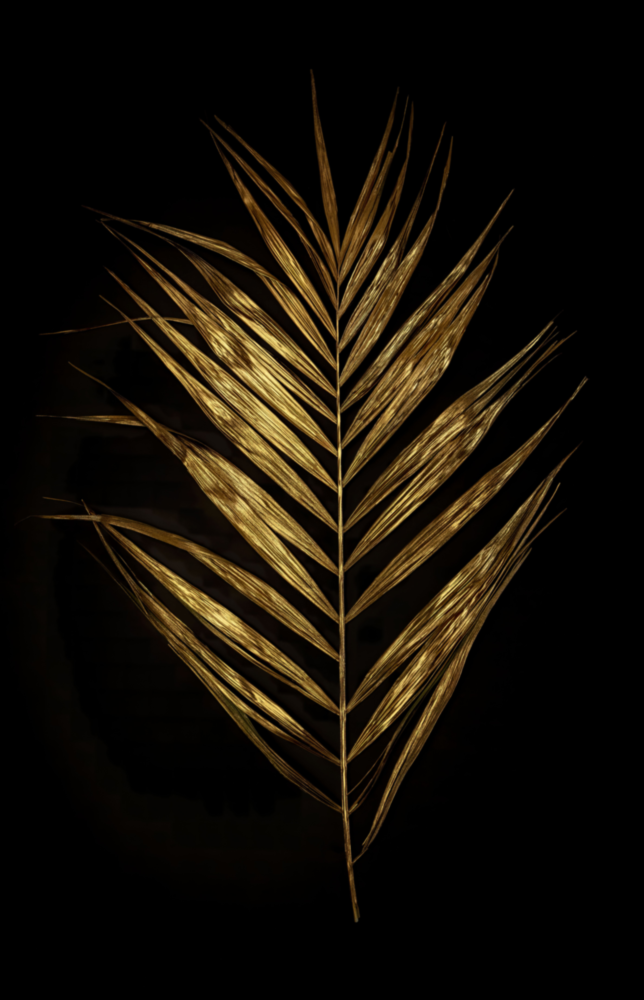 La plume Impression sur verre