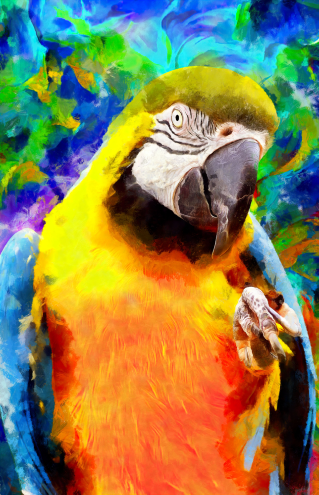 Papagei Glasbild