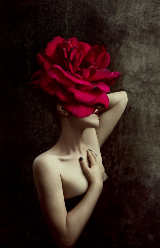 Rose und Frau Glasbild