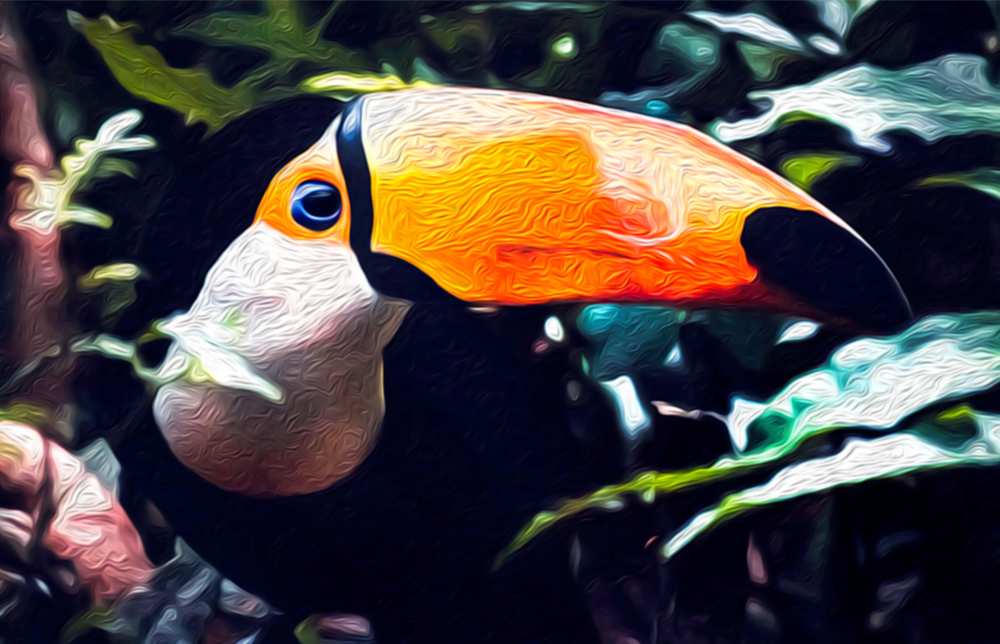 Arte della parete di vetro TOCO TOUCAN