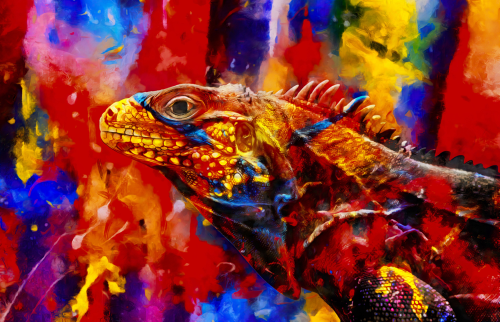 Caméléon Impression sur verre