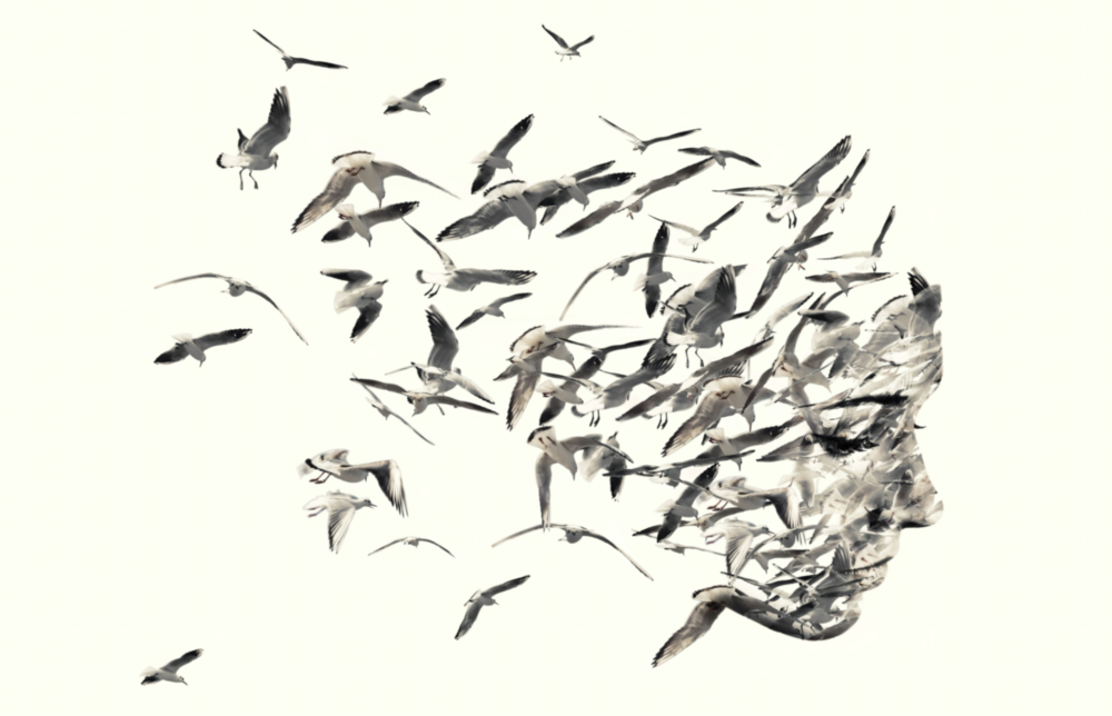 Arte della parete di vetro Pensieri liberi