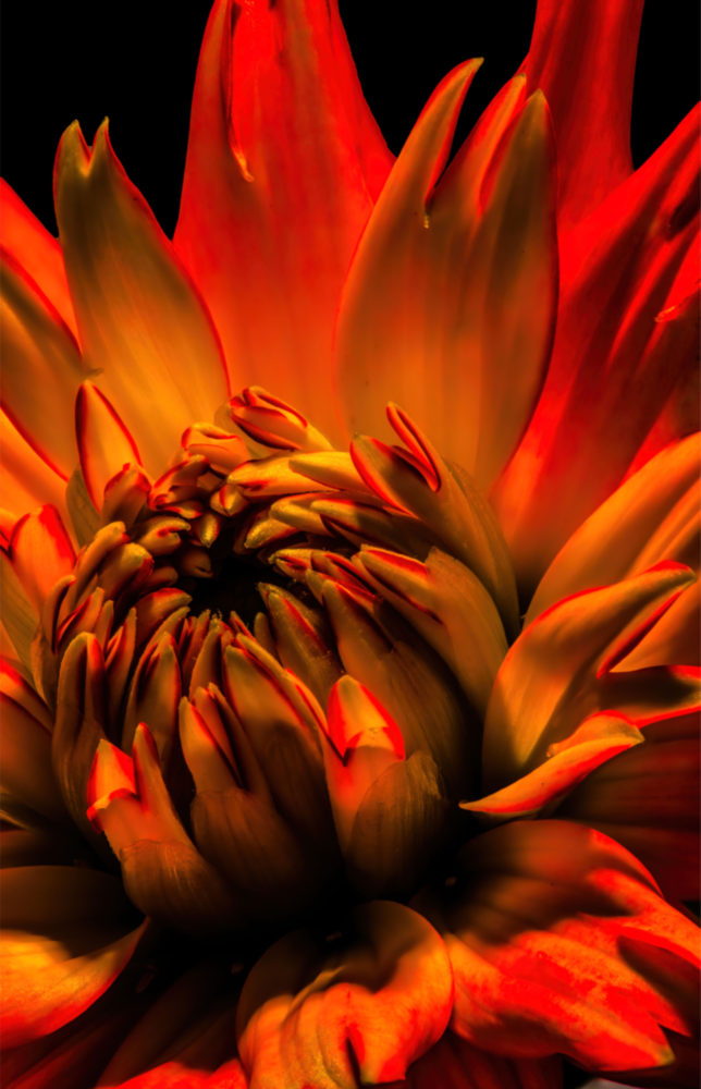 Arte della parete di vetro Fiore