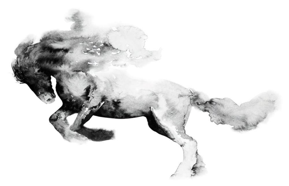 Cheval Impression sur verre
