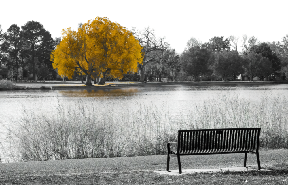 Arte della parete di vetro Albero giallo