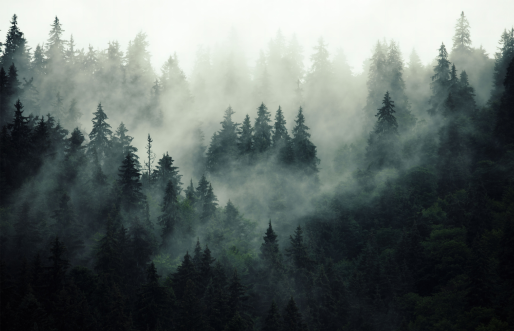 Paysage des ténèbres Impression sur verre