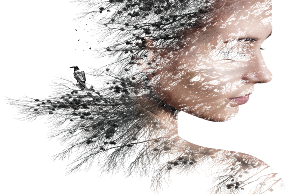 Woman Bird Glass Wall Art