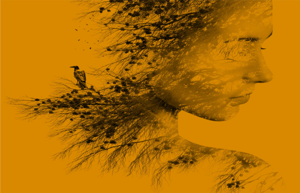 Arte della parete di vetro Bird della donna