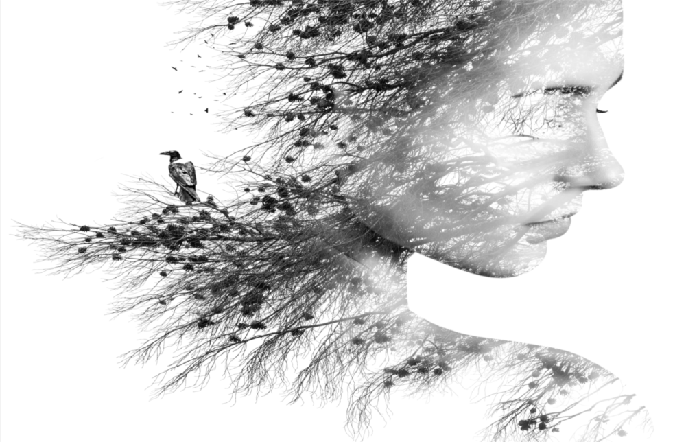 Woman Bird Glass Wall Art