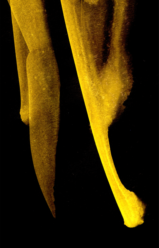 Arte della parete di vetro Storia gialla