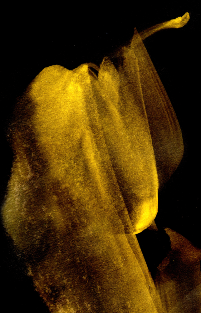 Yellow Story Glass Wall Art