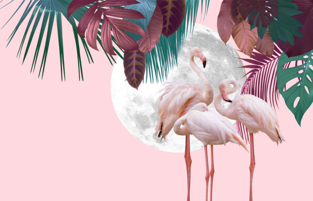 Flamingo Glasbild