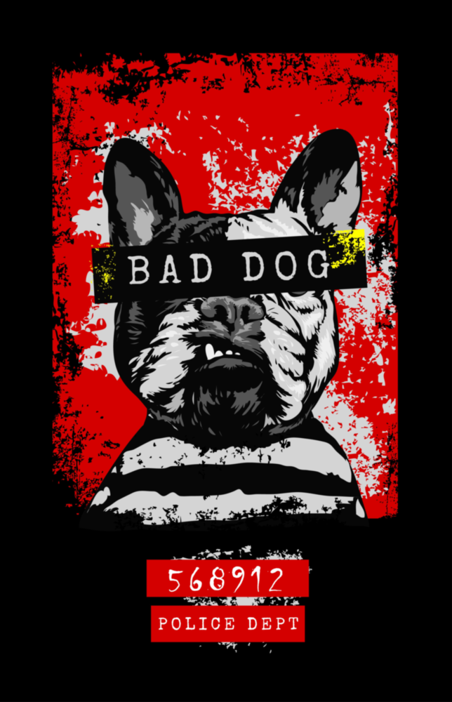 Arte della parete di vetro "Cane cattivo"