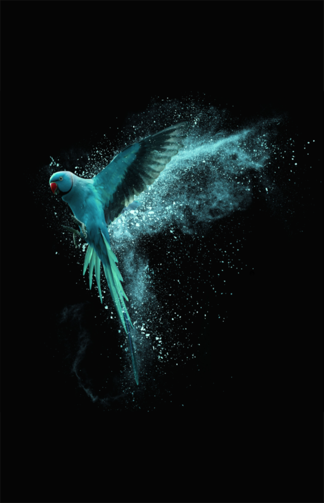 Luminious Parrot Glass Wall Art