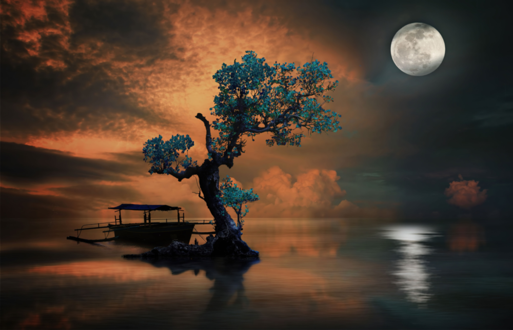 Nuit de l'arbre Impression sur verre