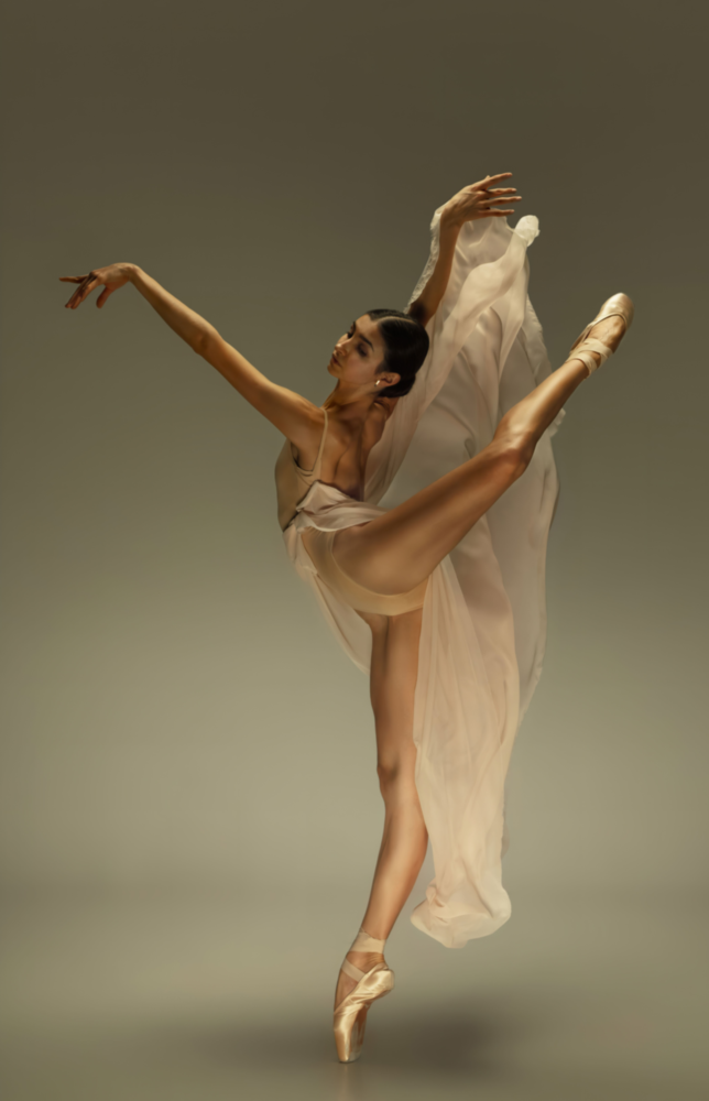 Ballerina Glass Wall Art