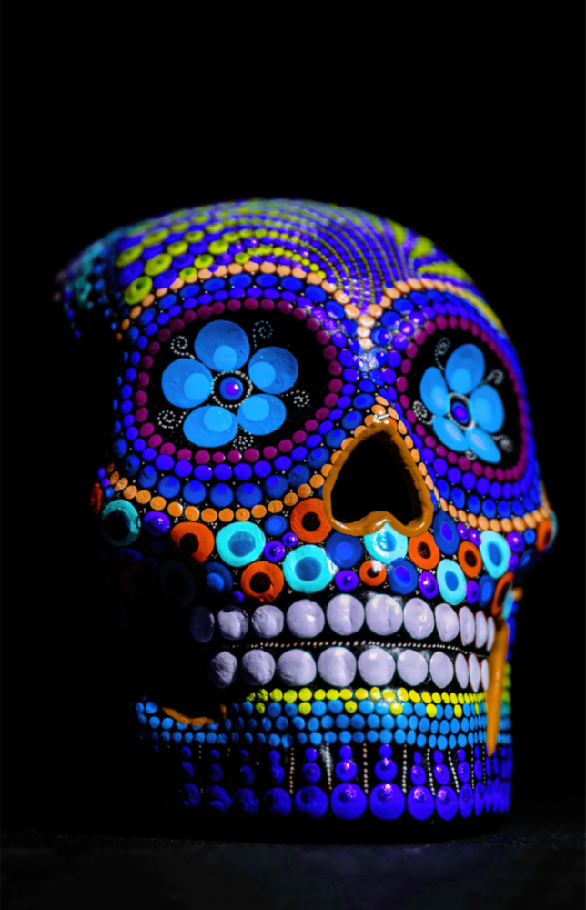 Arte della parete di vetro Skull fiorito