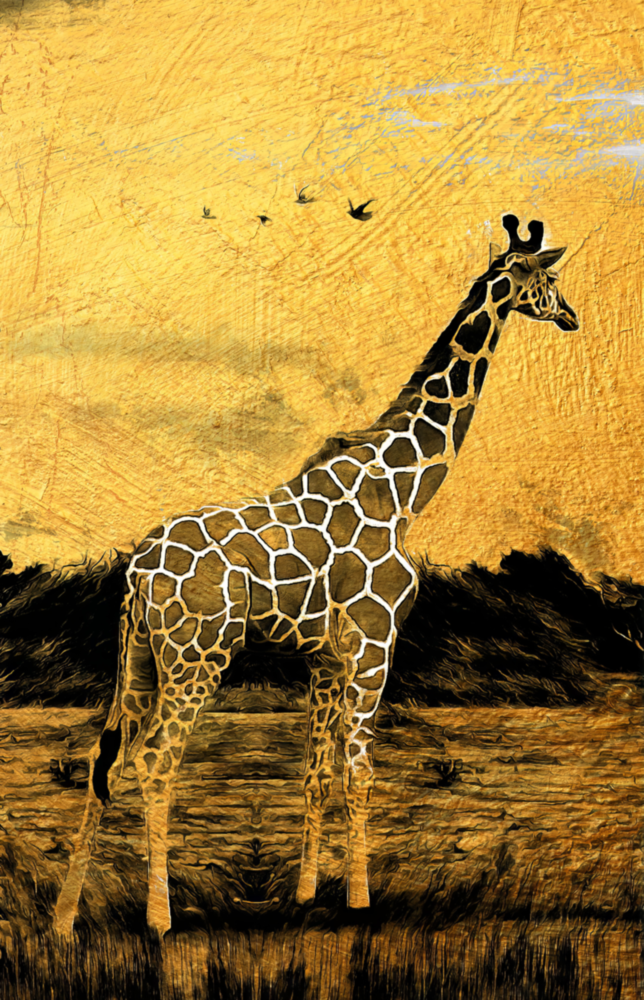 Giraffe Glasbild