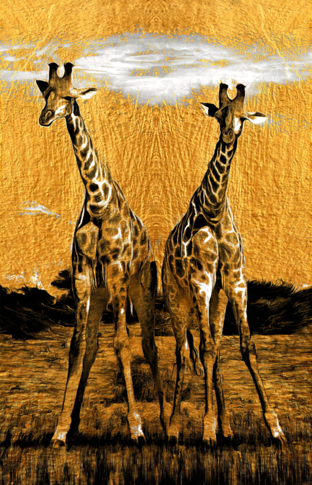Giraffen Glasbild