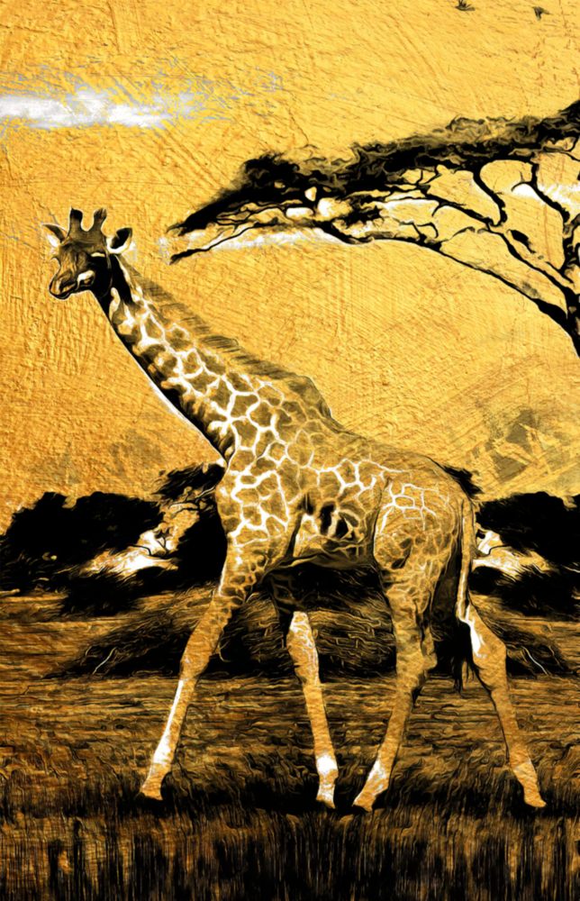 Giraffe Glasbild