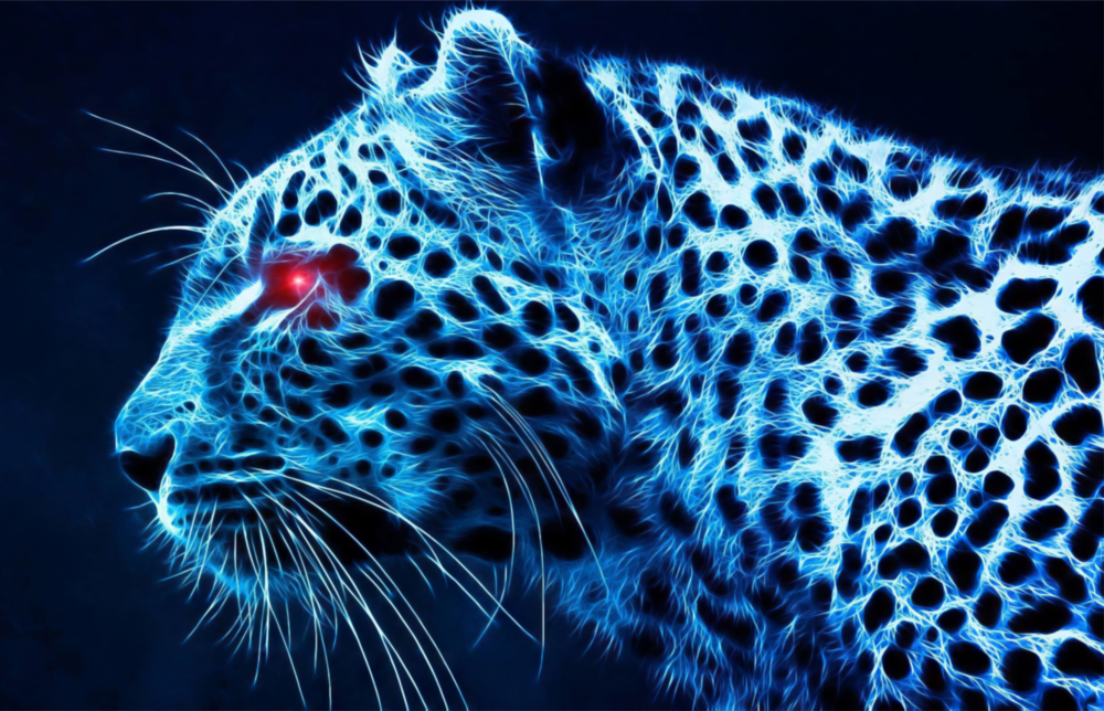 Leopar Glasbild