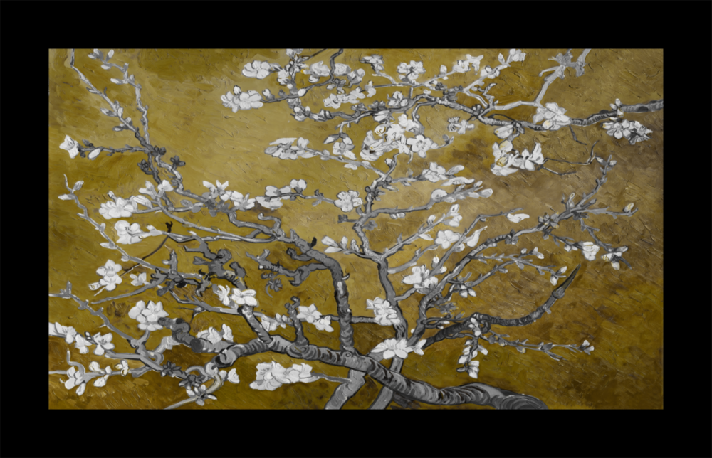 Gold Almond Flowers Glass Wall Art