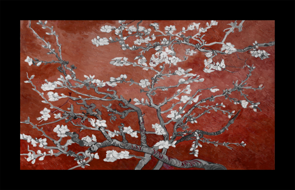 Maroon Almond Flowers Glass Wall Art