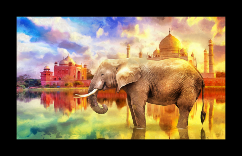 Elephant Glass Wall Art