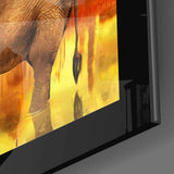 Elephant Glass Wall Art.