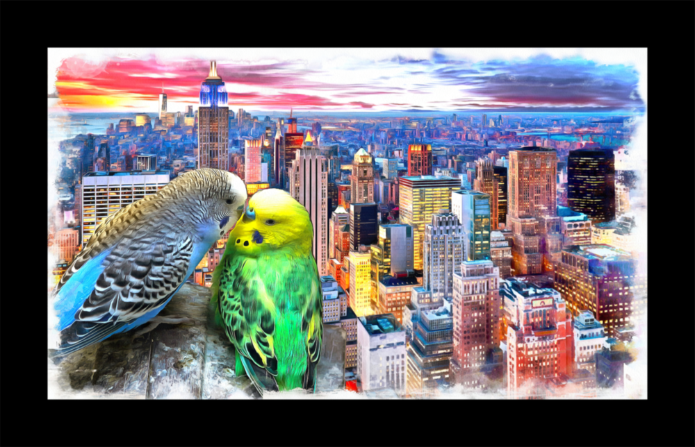 Perruches Impression sur verre