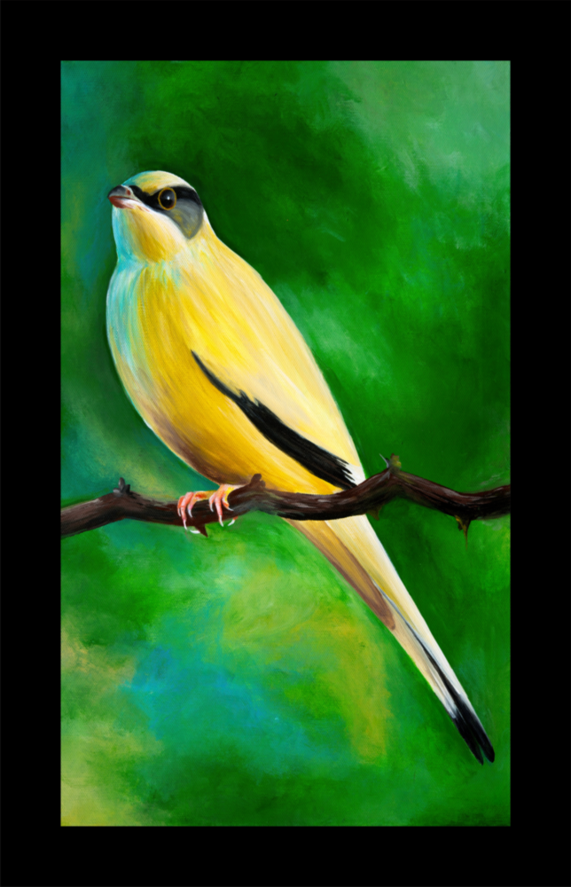 Oiseau sur branche Impression sur verre