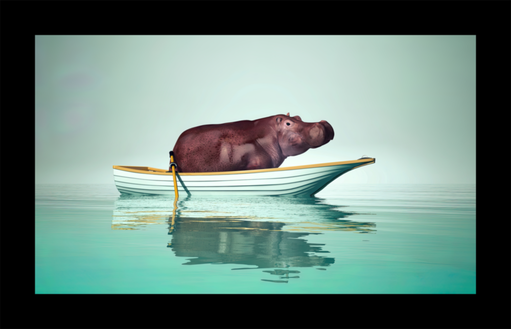 Arte de pared de vidrio de Hipopótamo