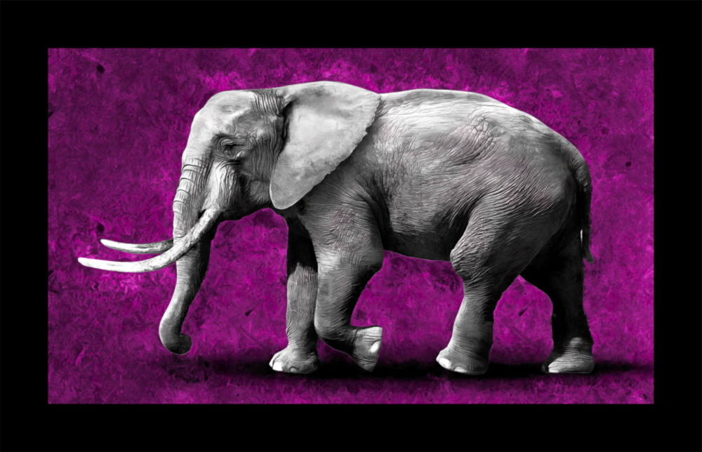 Arte de pared de vidrio de Elefante