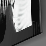 Zebra Glass Wall Art.