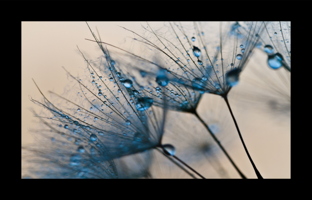 Arte de pared de vidrio de Dentelioni