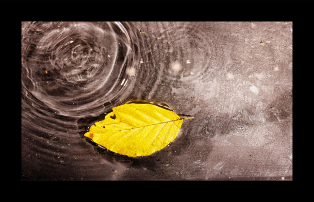 Arte de pared de vidrio de Autunno