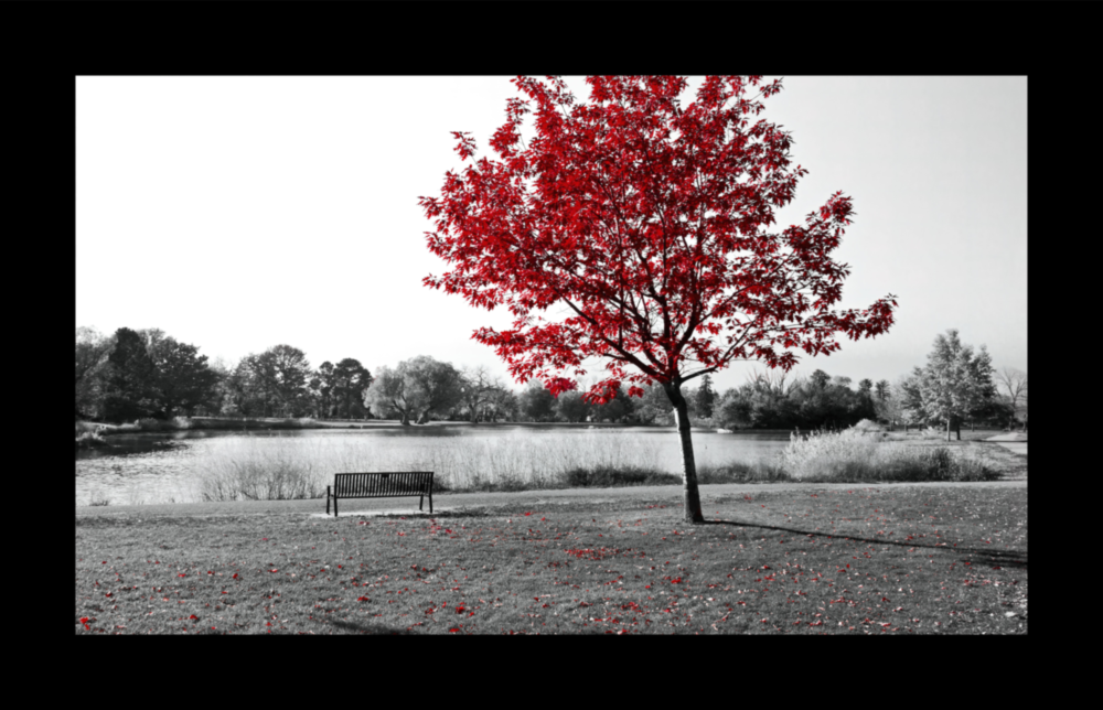Red Tree Glass Wall Art