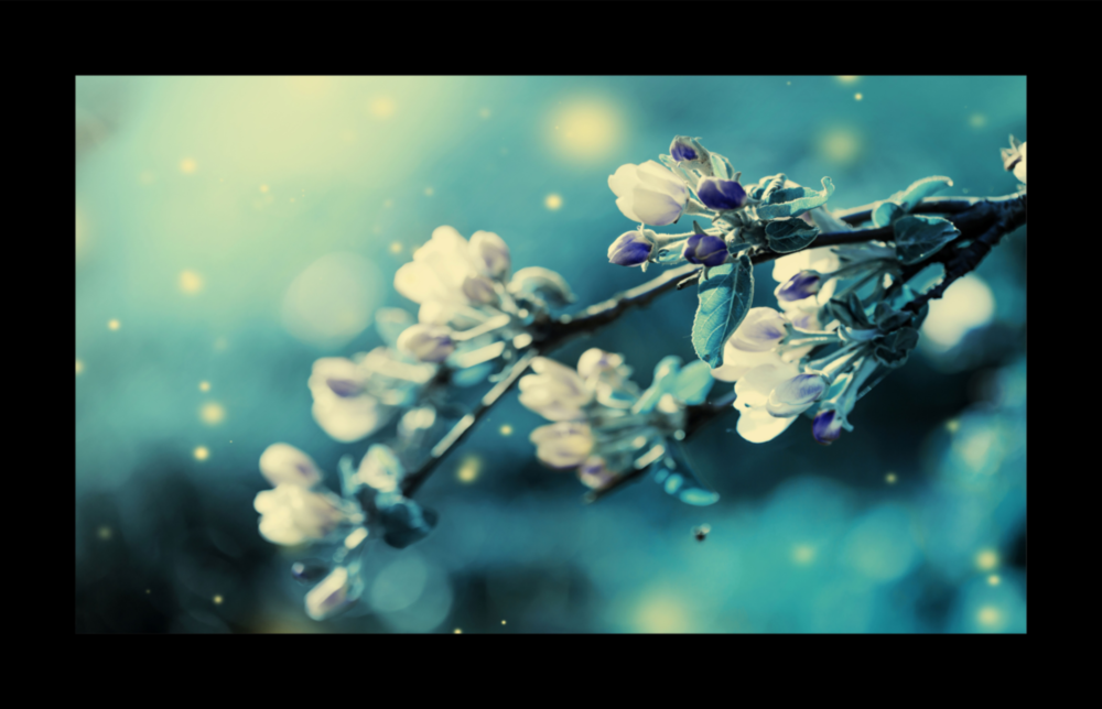 Épanouissement Impression Sur Verre