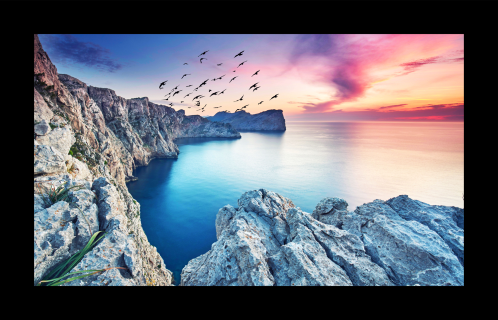 Birds and Reefs Glass Wall Art