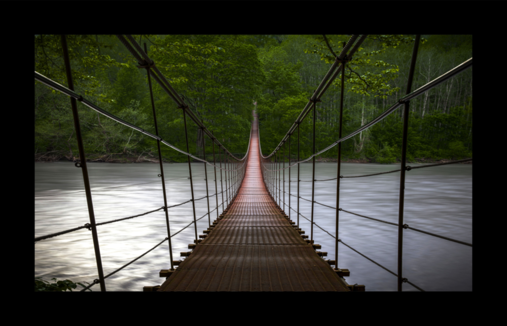 Arte de pared de vidrio de Ponte forestale