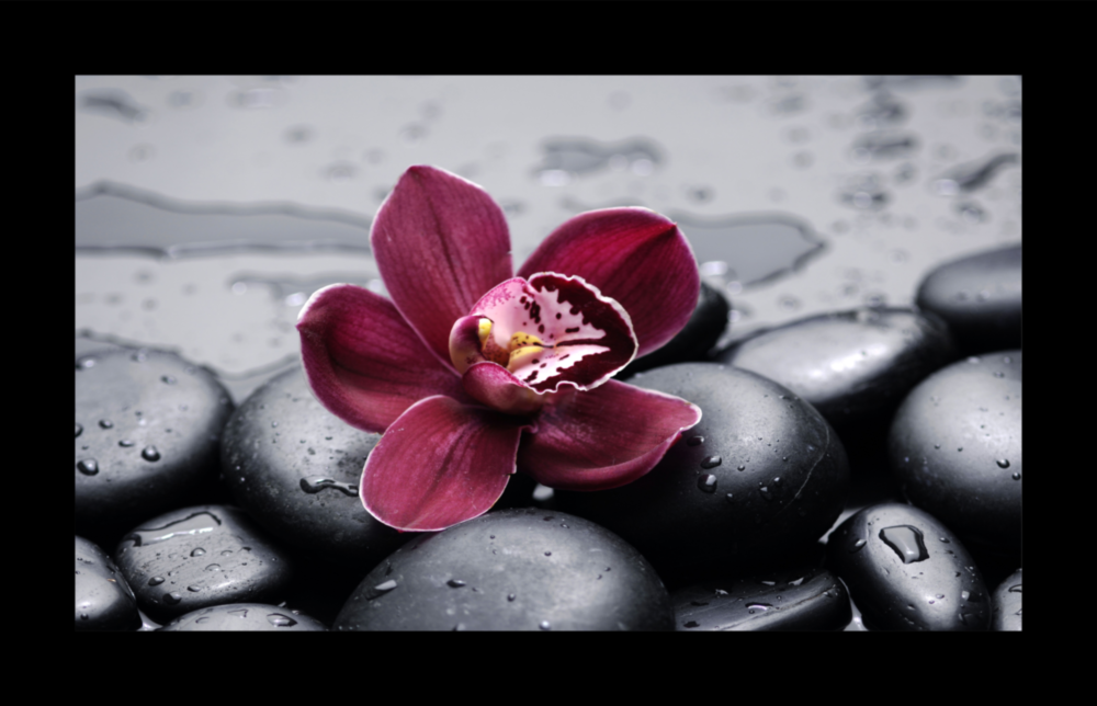 Arte della parete di vetro Orchidea