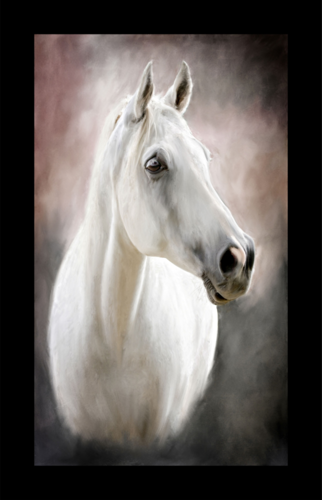 Arte della parete di vetro Cavallo