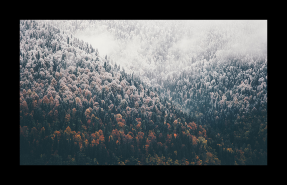 Arte de pared de vidrio de foresta